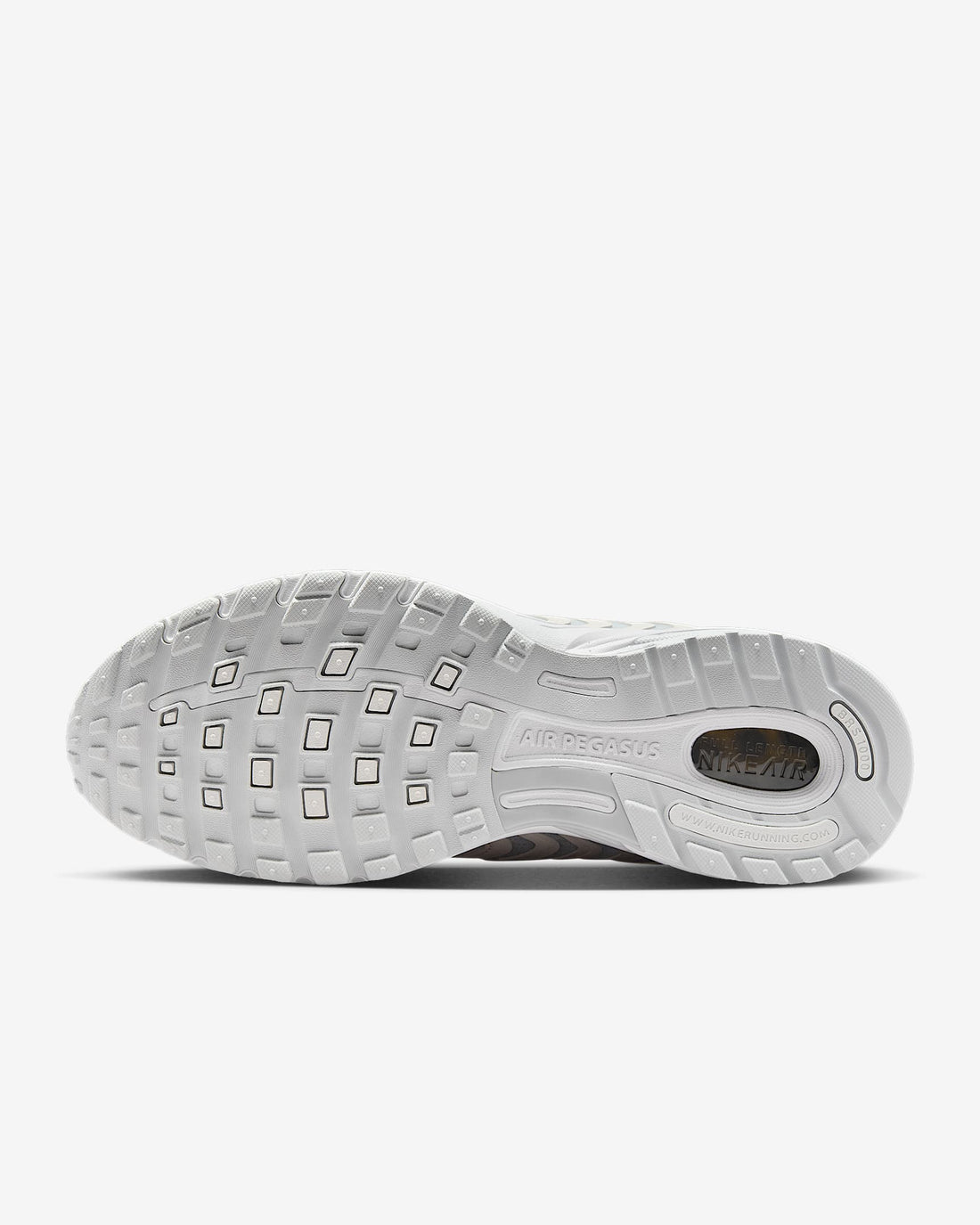 Nike Air Pegasus 2005 SE Men's Shoes