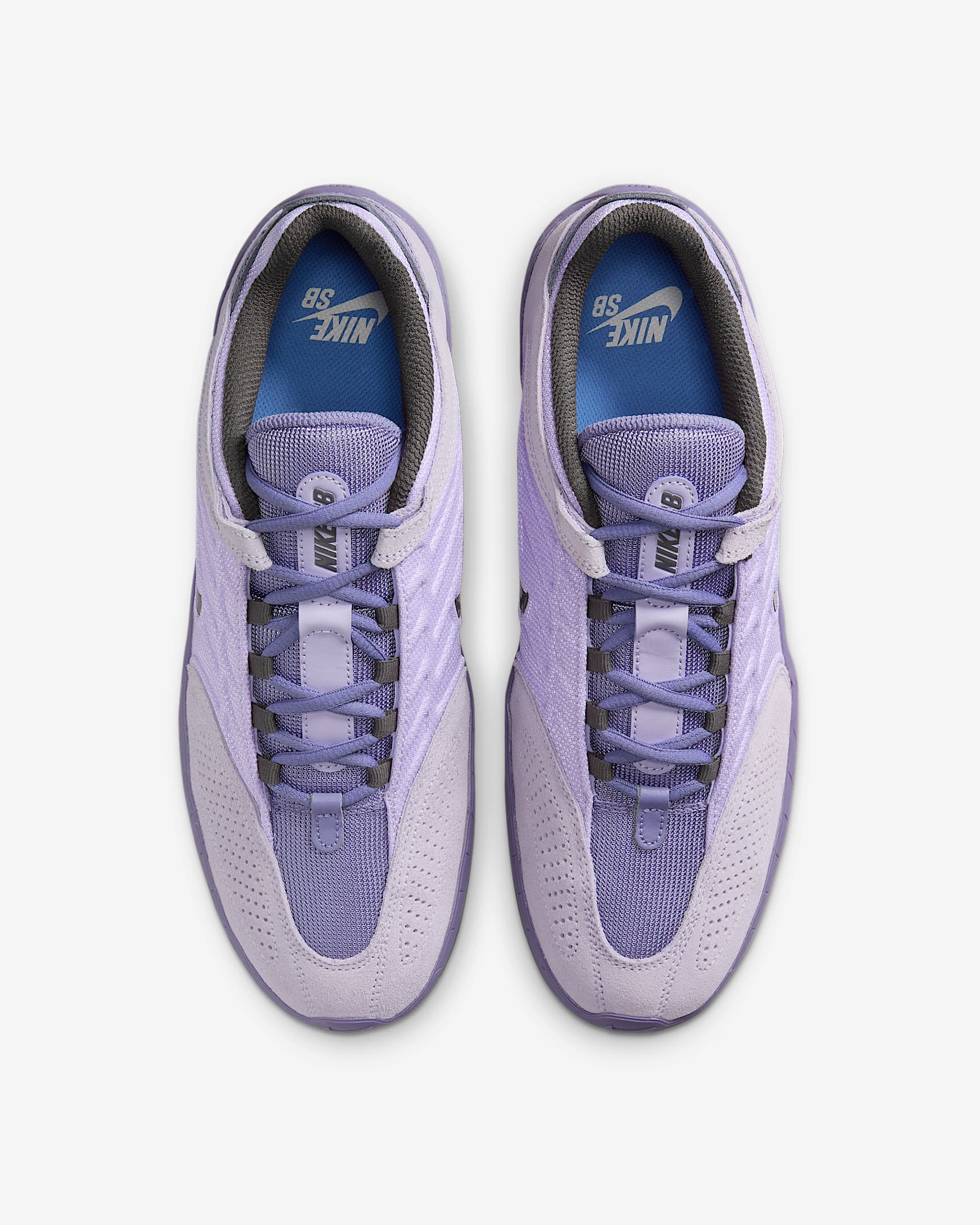 Nike SB Vertebrae Men's Shoes