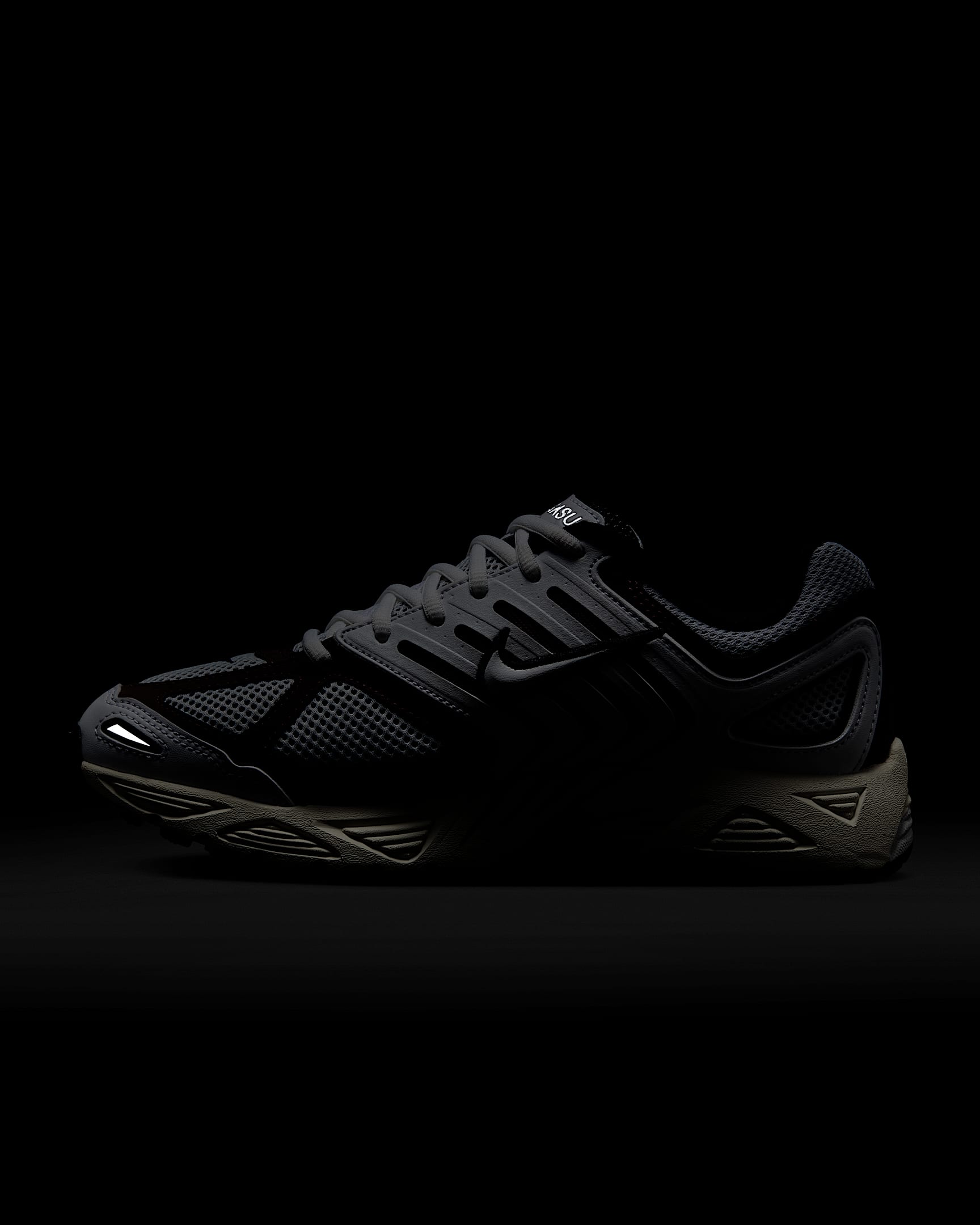 Nike Air Pegasus 2005 Women's Shoes