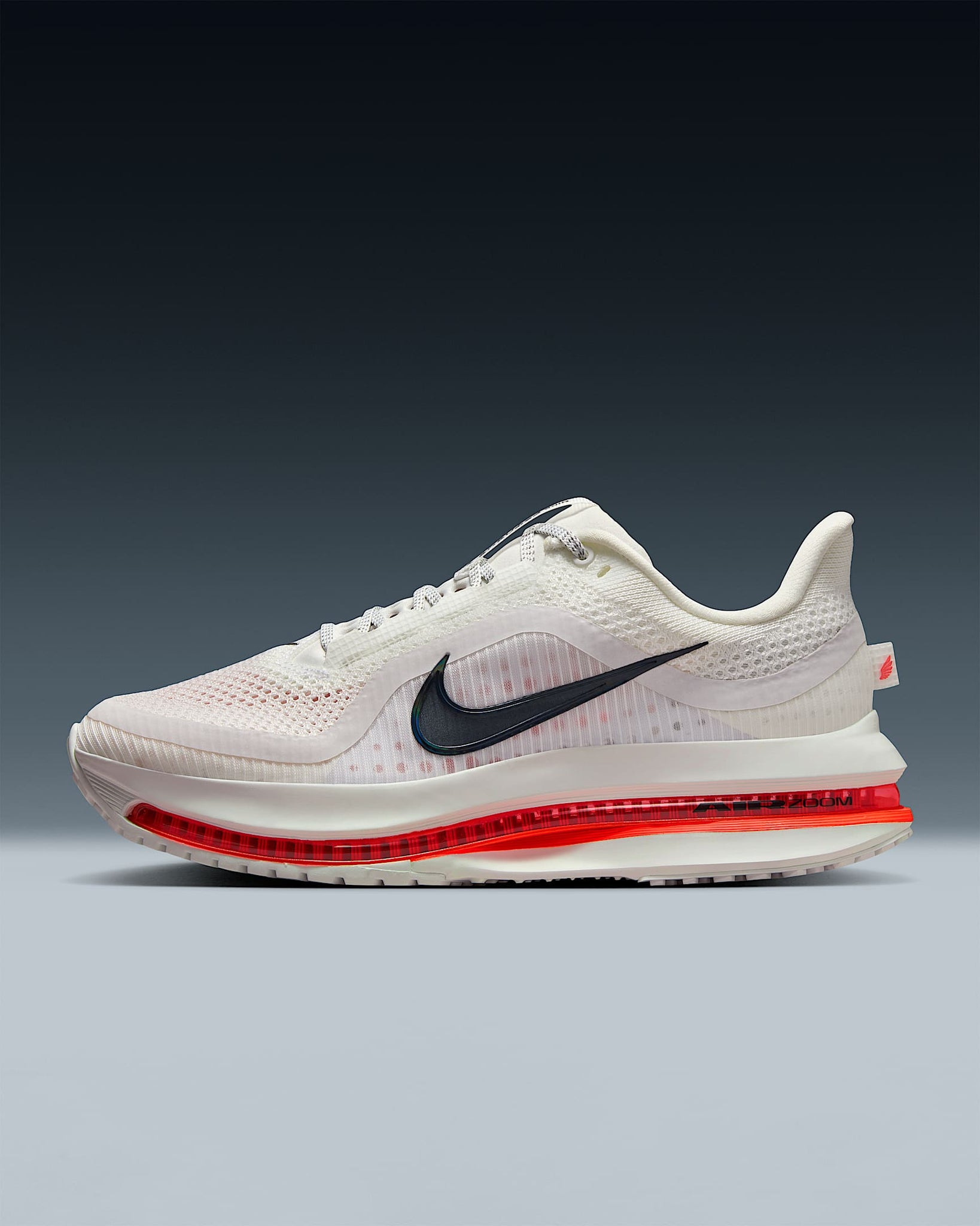 Nike Pegasus Premium Women's Road Running Shoes